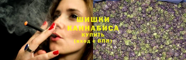 метадон Гусев